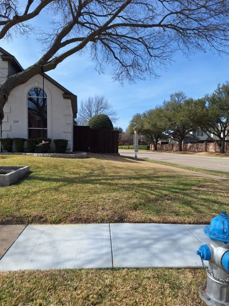 Reliable residential landscaping in Royse City, TX - Jose lawn service