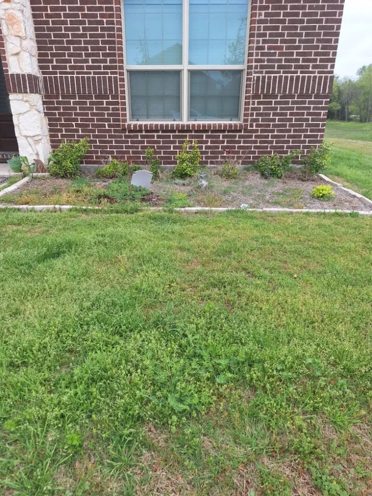 Reliable yard cleanup service experts serving Royse City, TX - Jose lawn service