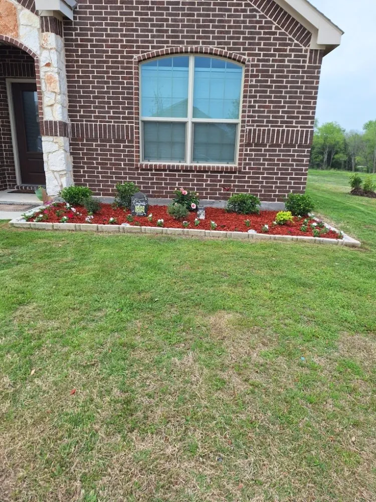 Trusted yard maintenance near you in Royse City, TX by Jose lawn service
