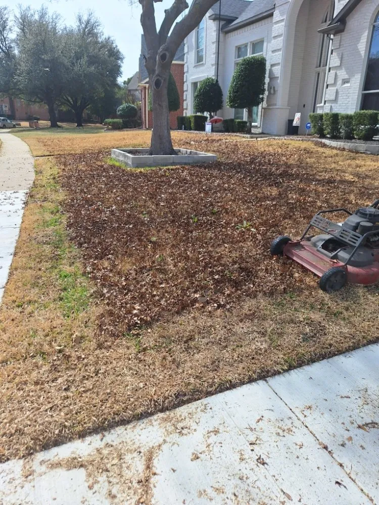 Local landscaping services experts serving Royse City, TX - Jose lawn service
