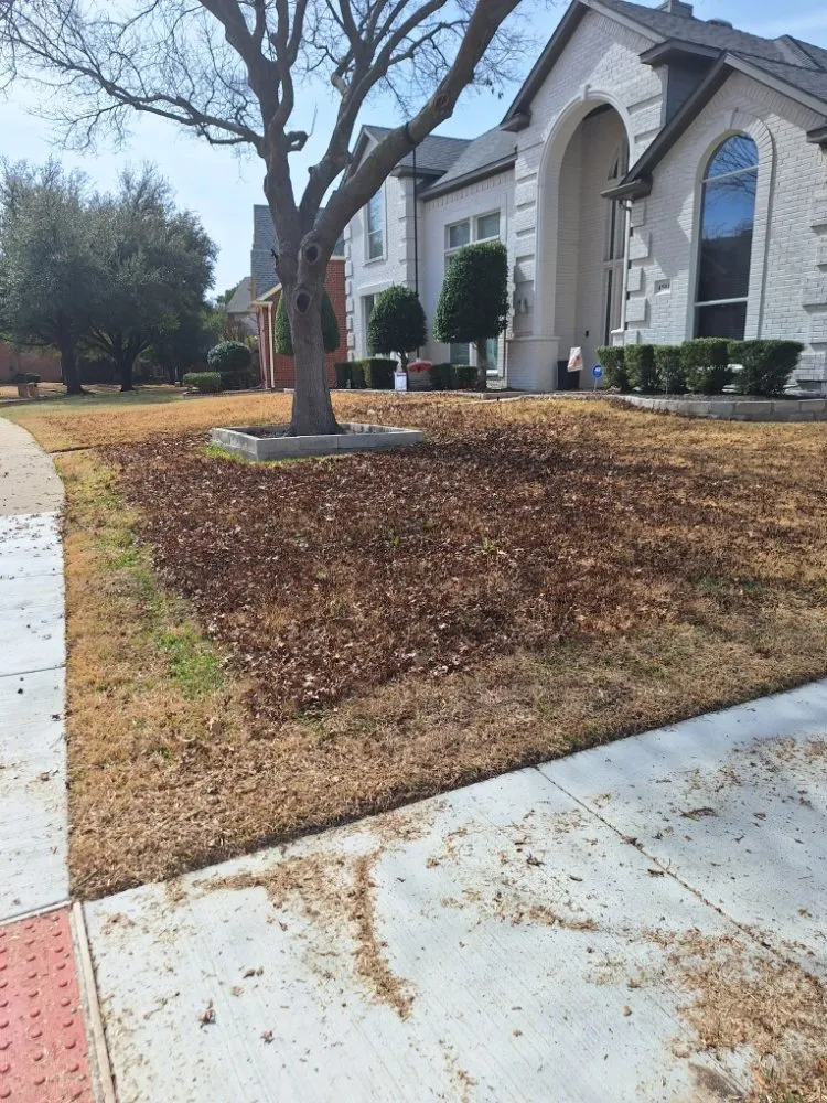Local residential landscaping in Royse City, TX by Jose lawn service