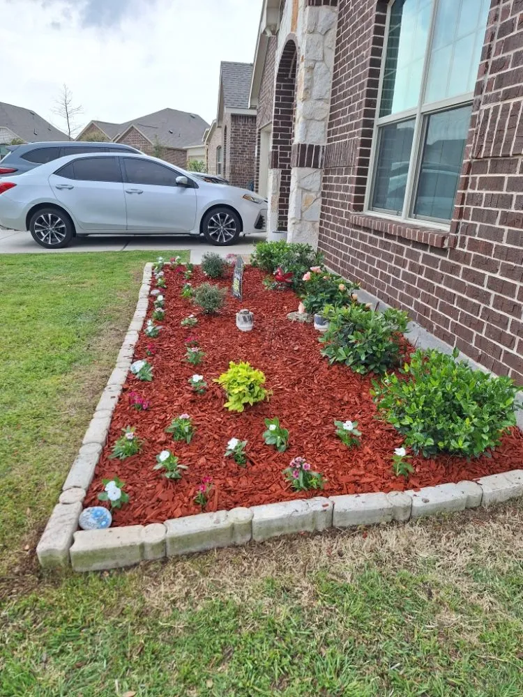 Expert yard cleanup service for beautiful yards in Royse City, TX by Jose lawn service