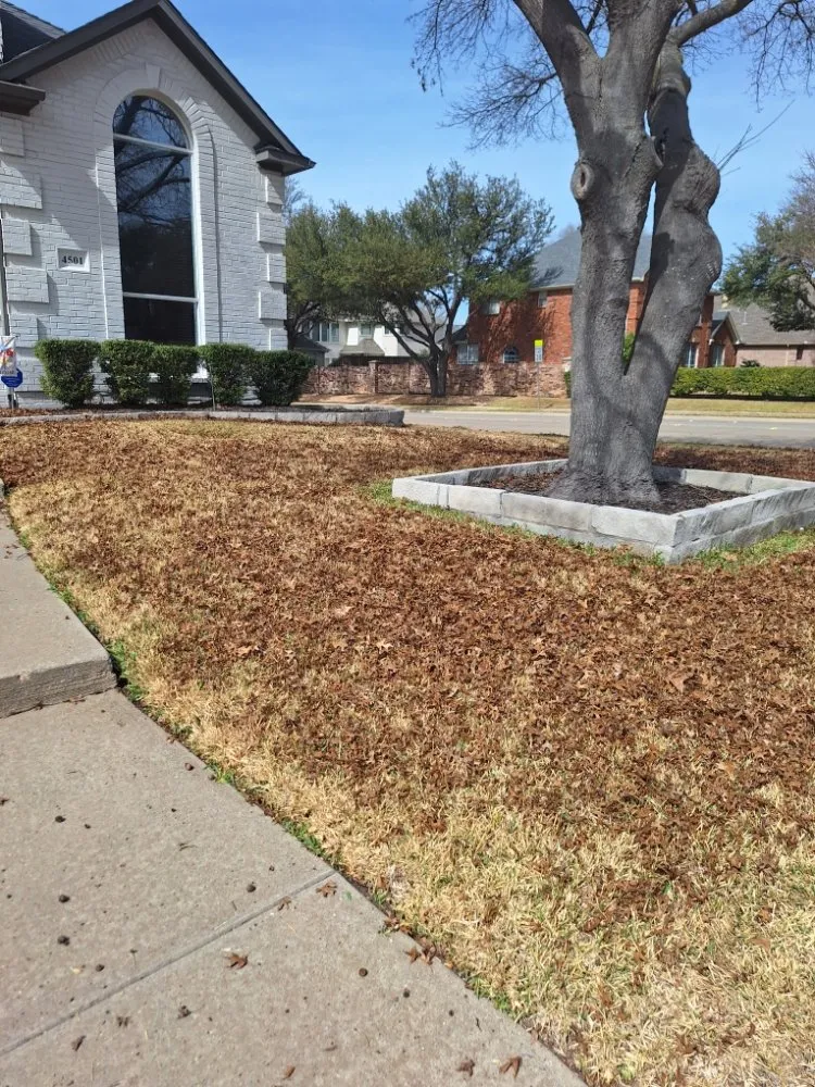 Local landscape installation for year-round maintenance in Royse City, TX by Jose lawn service