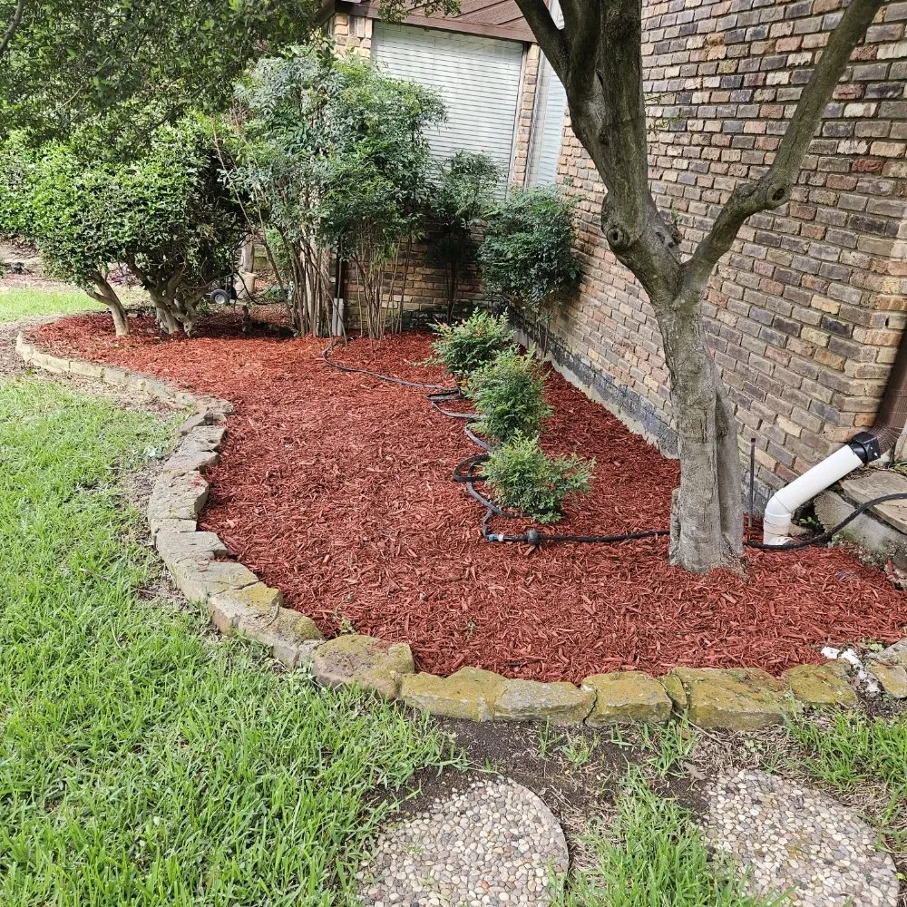 Professional lawn mowing service in Irving, TX by Jose Lawns Service