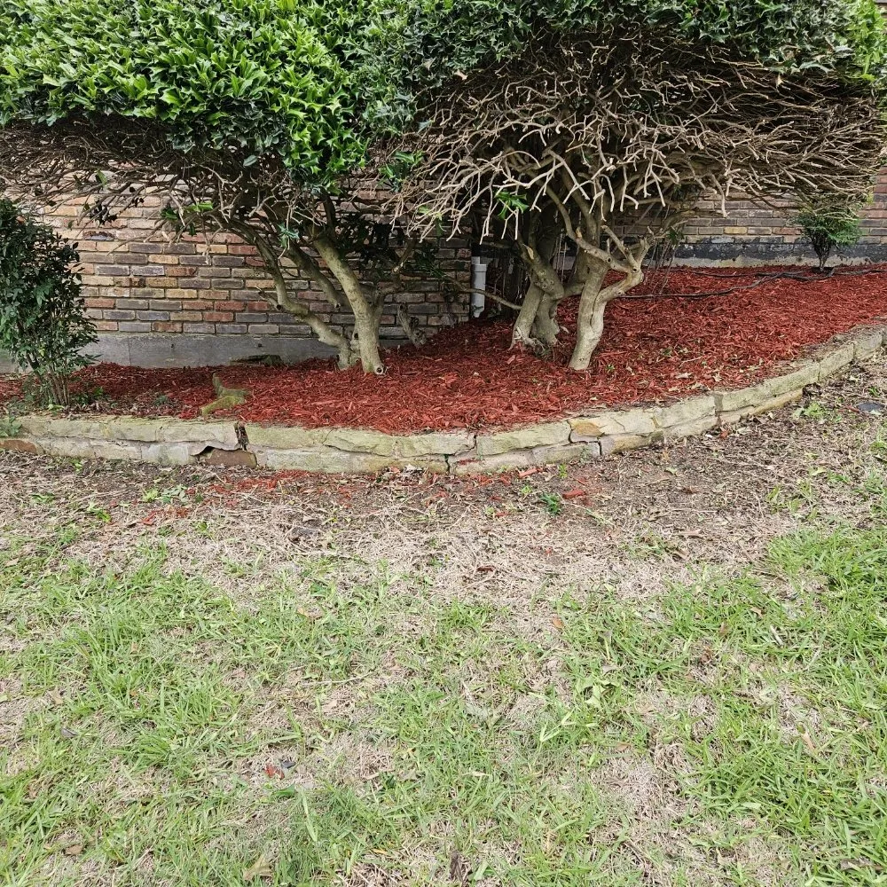 Trusted landscaping services in Irving, TX by Jose Lawns Service