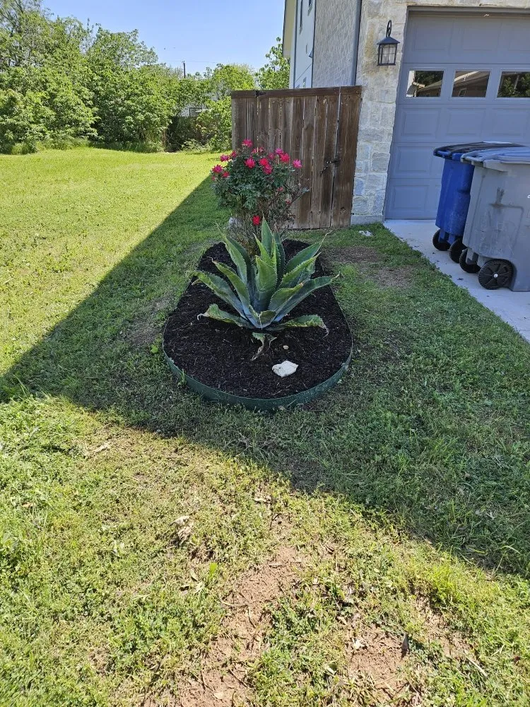 Local landscaping services in Irving, TX - Jose Lawns Service