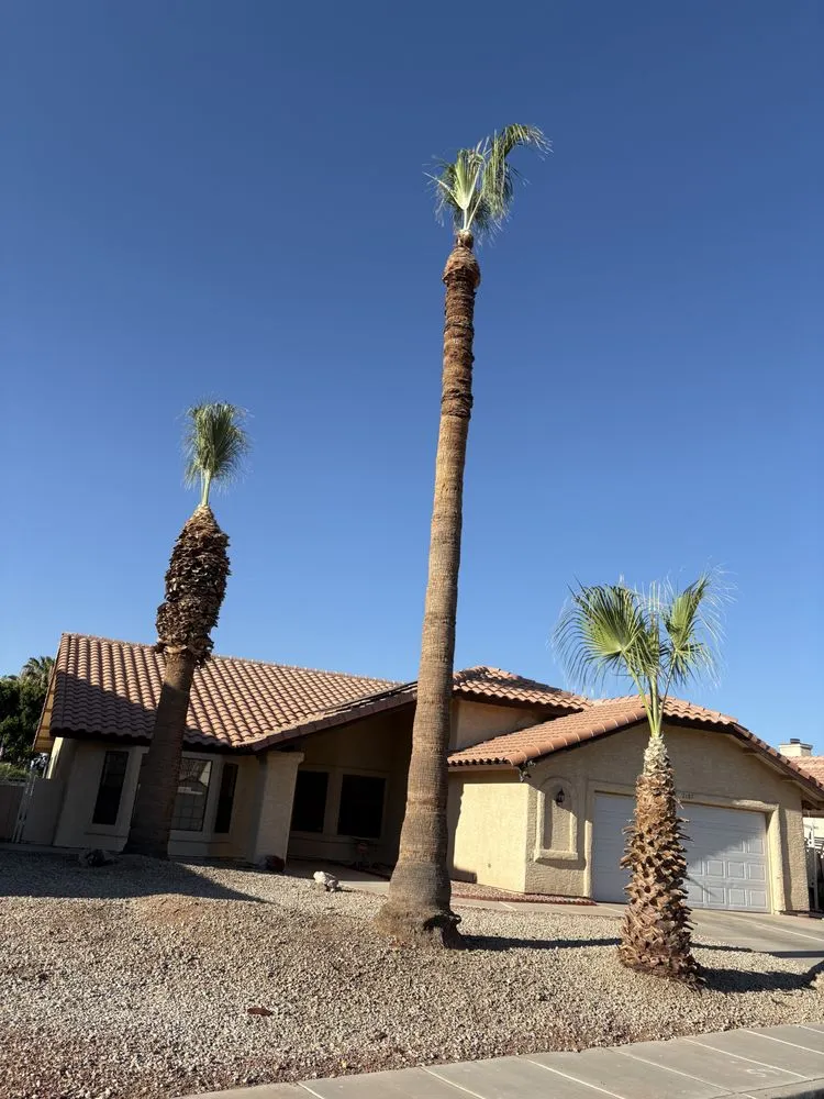 Trusted landscape design in Yuma, AZ - Jose Ledezma Landscaping