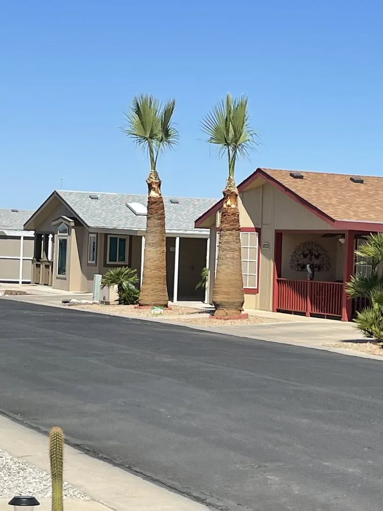 Local lawn care service in Yuma, AZ by Jose Ledezma Landscaping
