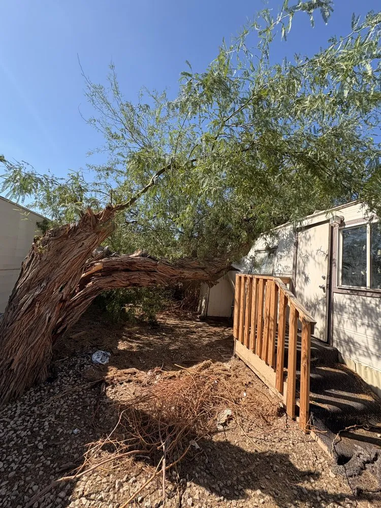 Affordable landscape design in Yuma, AZ - Jose Ledezma Landscaping