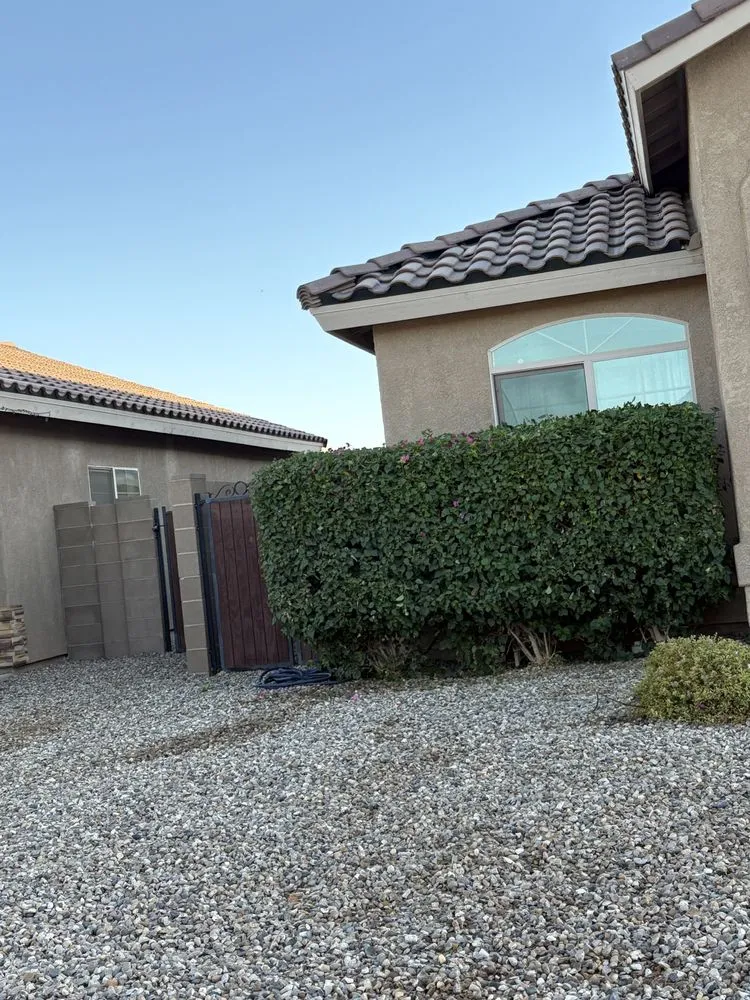 Expert lawn mowing service with custom design across Yuma, AZ - Jose Ledezma Landscaping