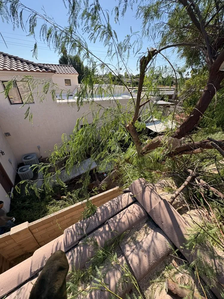 Top-rated yard cleanup service in Yuma, AZ by Jose Ledezma Landscaping