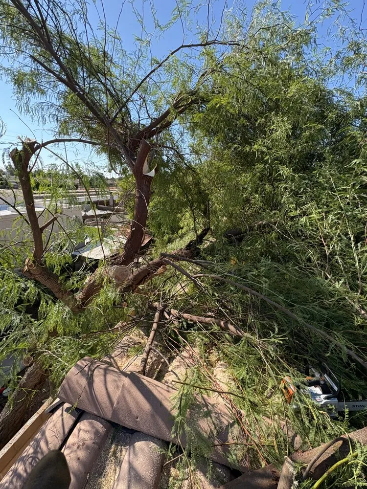 Reliable lawn mowing service experts serving Yuma, AZ - Jose Ledezma Landscaping