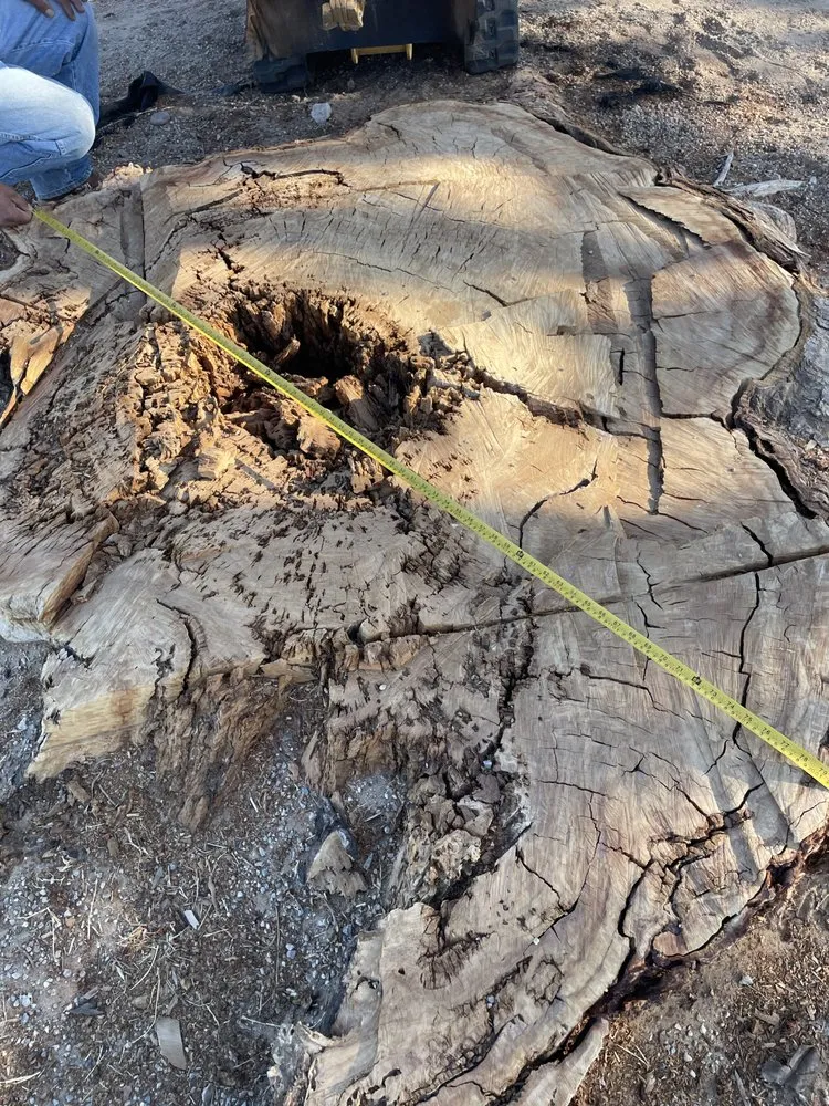 Top-rated landscape design experts serving Yuma, AZ - Jose Ledezma Landscaping