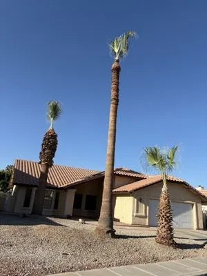 Jose Ledezma Landscaping Logo