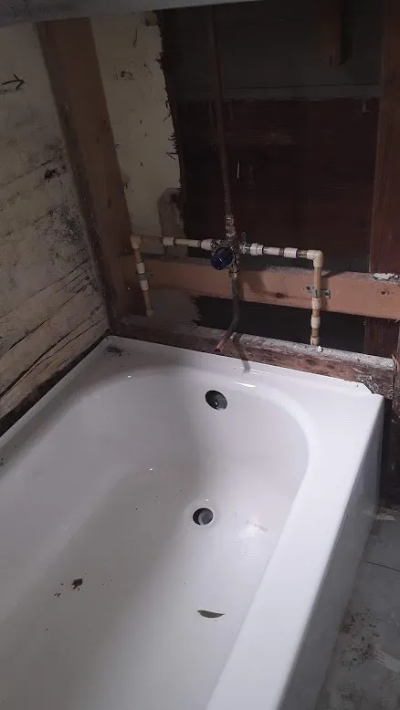 Custom landscape design for beautiful yards across Fort Myers, FL - Jose Lopez Multi Solution Handyman