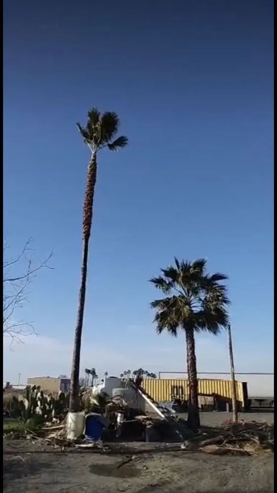 Top-rated landscape installation for homes in Tracy, CA by Jose Lopez Service