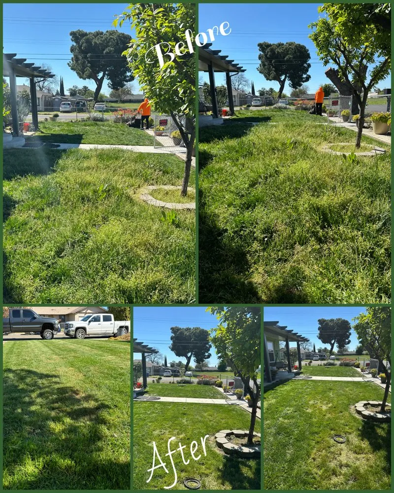 Reliable landscape installation in Merced, CA by Jose Luis Gardening Services & More