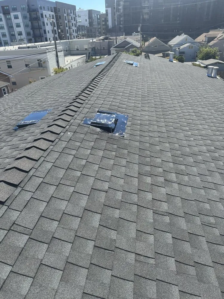 Affordable landscape design for year-round maintenance across Richmond, CA - Jose Luis Handyman