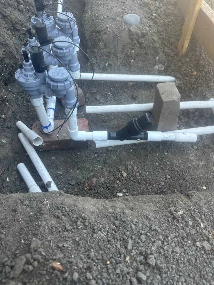 Top-rated lawn care service in Richmond, CA by Jose Luis Handyman