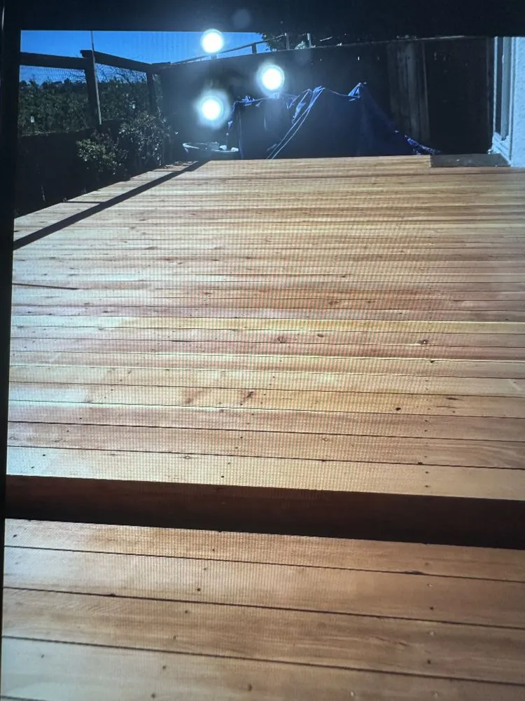 Professional yard cleanup service in Richmond, CA - Jose Luis Handyman