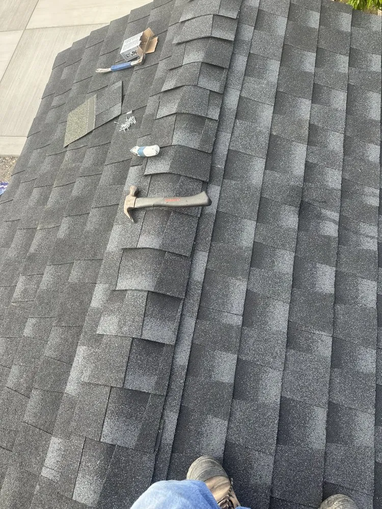 Expert lawn care service in Richmond, CA by Jose Luis Handyman