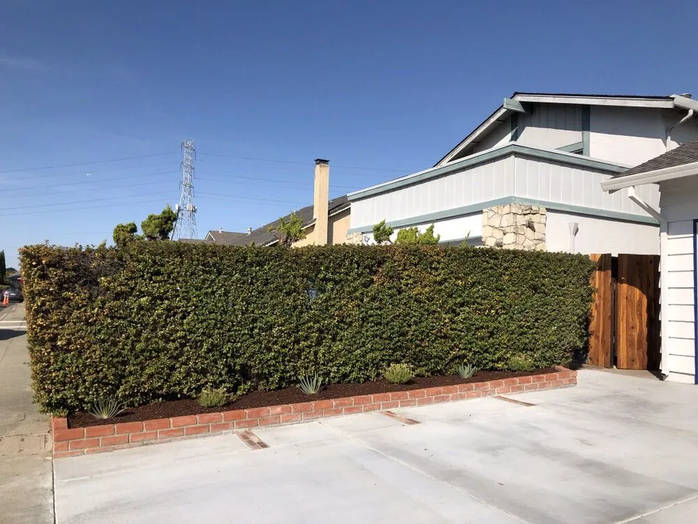 Trusted landscape installation near you in Redwood City, CA by Jose Luis Landscape