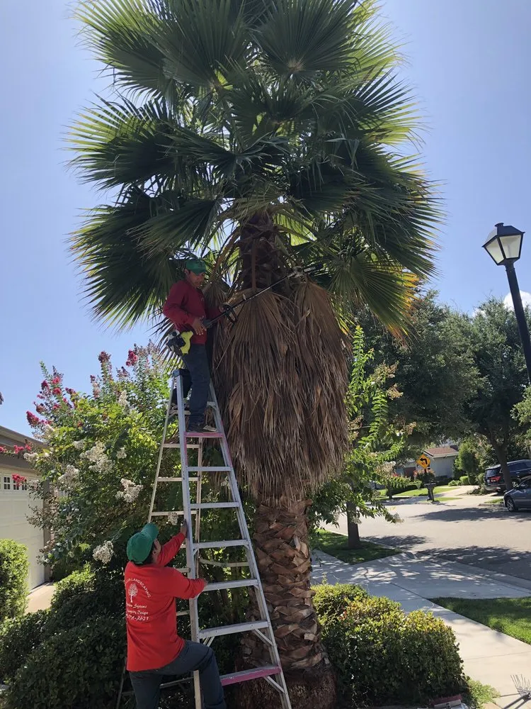 Reliable garden landscaping experts serving Redwood City, CA - Jose Luis Landscape