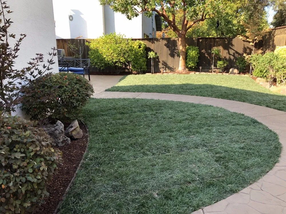 Reliable landscape design for beautiful yards across Redwood City, CA - Jose Luis Landscape