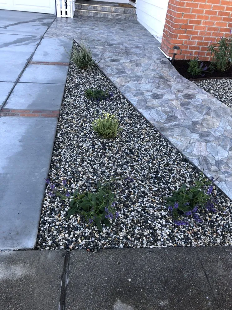 Trusted yard cleanup service in Redwood City, CA by Jose Luis Landscape
