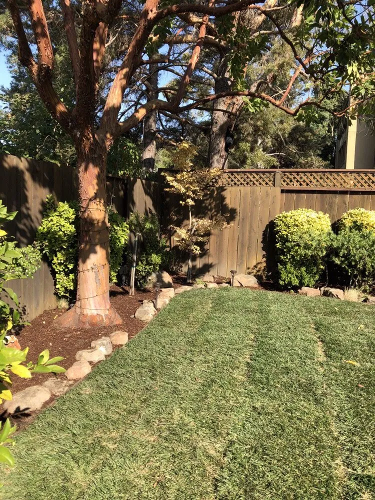 Affordable garden landscaping with custom design across Redwood City, CA - Jose Luis Landscape