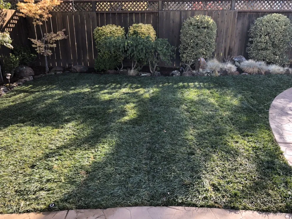 Reliable landscape design experts serving Redwood City, CA - Jose Luis Landscape