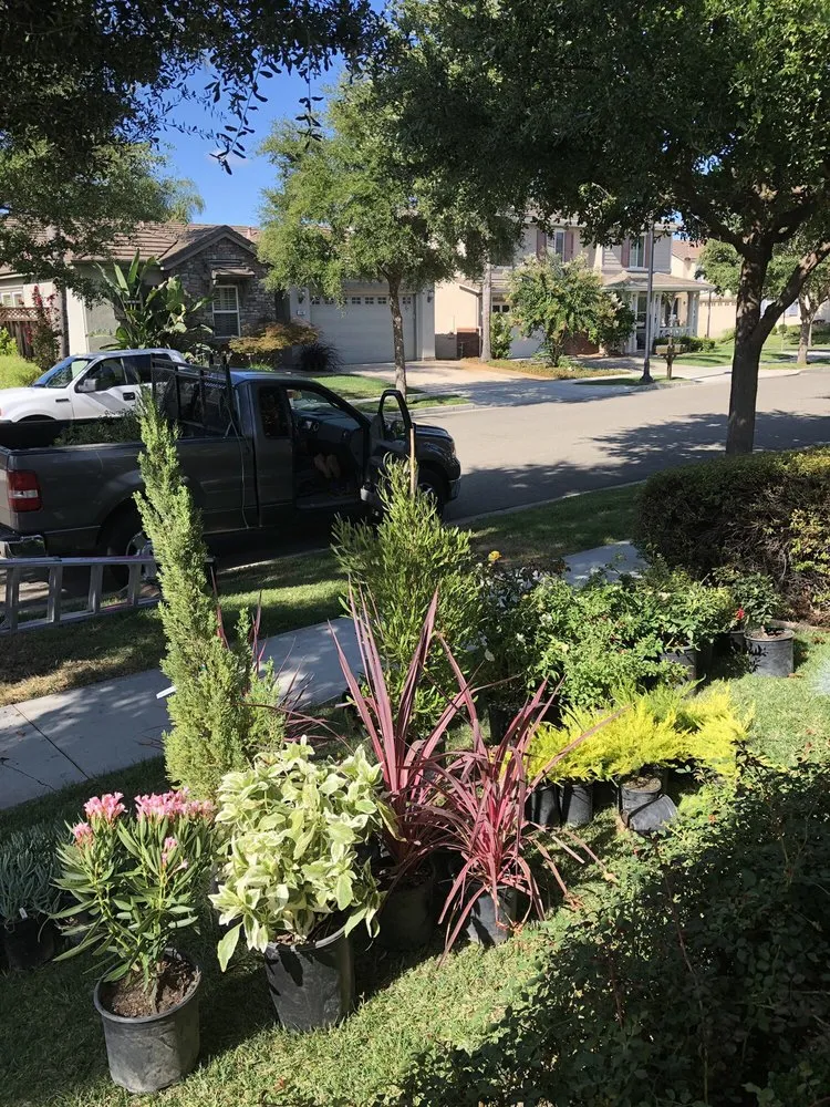 Professional lawn mowing service in Redwood City, CA by Jose Luis Landscape