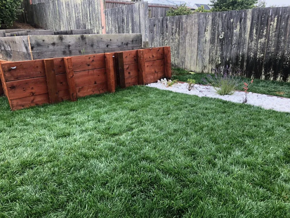 Top-rated lawn care service in Redwood City, CA - Jose Luis Landscape