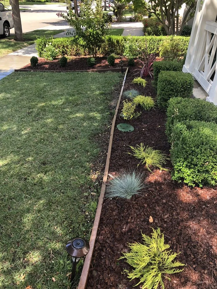 Top-rated lawn care service for residential properties in Redwood City, CA by Jose Luis Landscape