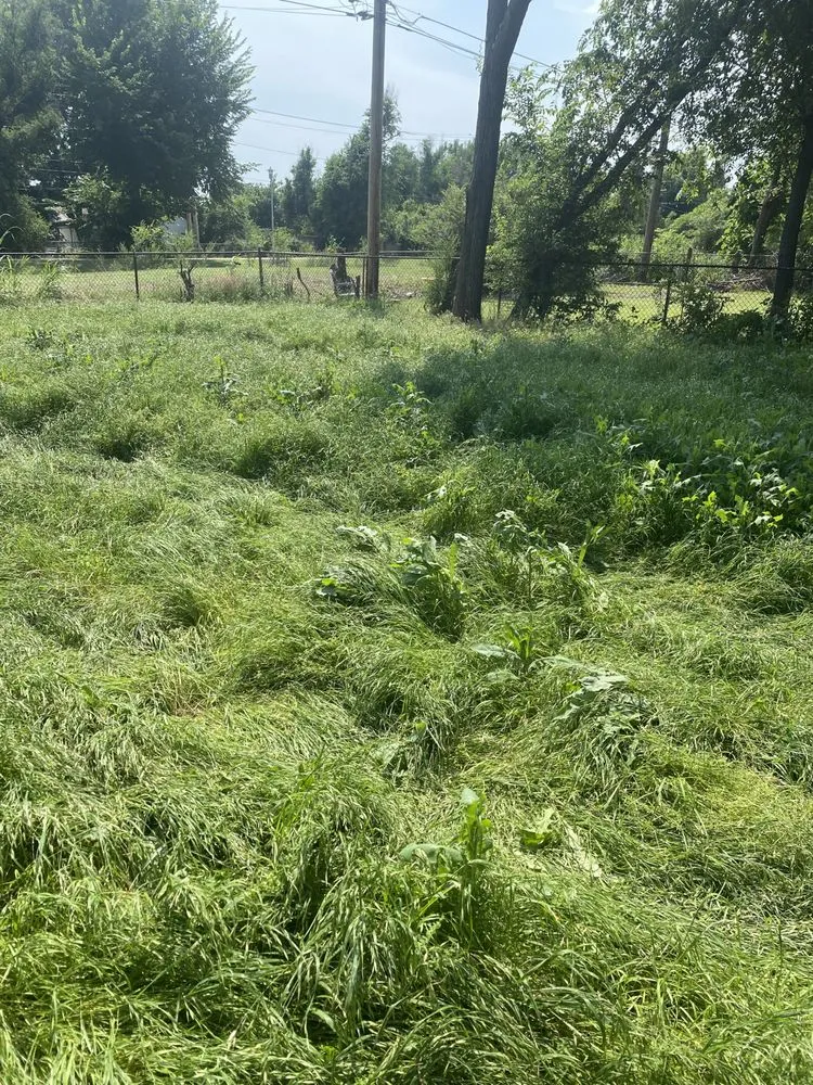 Expert landscape installation experts serving Midwest City, OK - Jose Luis Lawn Care