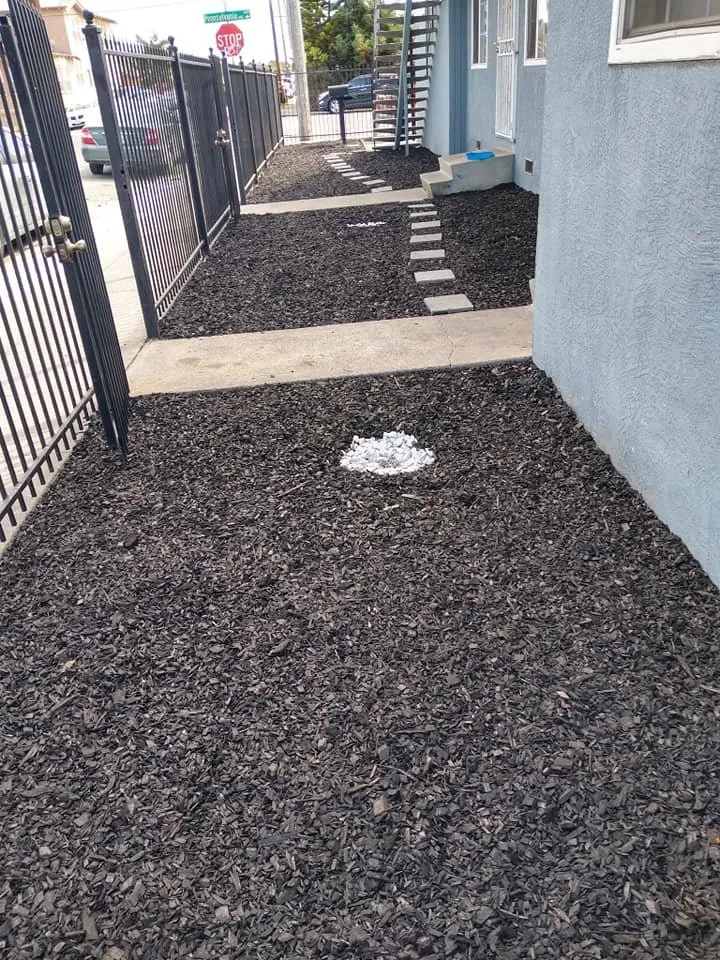 Local landscape installation in Hercules, CA - Jose Luis Mata Landscaping