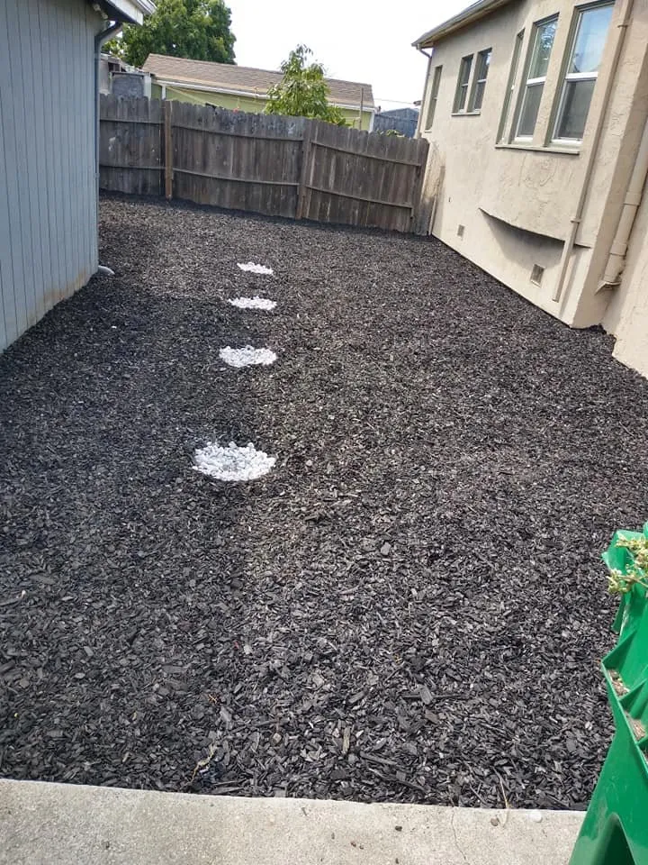 Local lawn mowing service experts serving Hercules, CA - Jose Luis Mata Landscaping