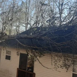 Expert landscape design near you across Fredericksburg, VA - Jose Luis Tree Service