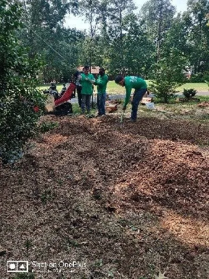 Local yard maintenance experts serving Fredericksburg, VA - Jose Luis Tree Service
