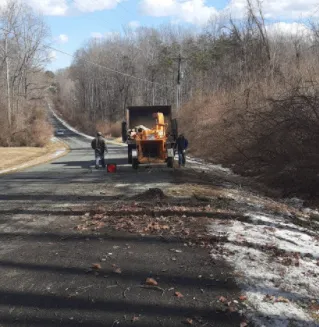 Trusted garden landscaping for year-round maintenance in Fredericksburg, VA by Jose Luis Tree Service
