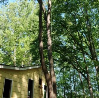 Expert landscape installation in Fredericksburg, VA by Jose Luis Tree Service