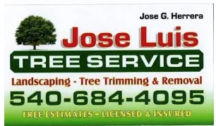 Affordable landscape installation in Fredericksburg, VA by Jose Luis Tree Service