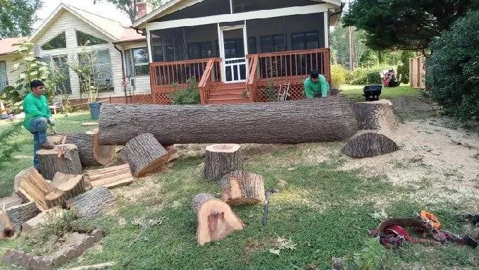 Trusted residential landscaping with custom design in Fredericksburg, VA by Jose Luis Tree Service