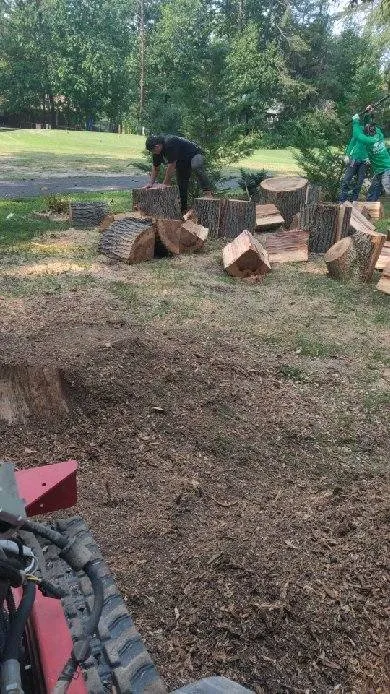 Local lawn mowing service for residential properties across Fredericksburg, VA - Jose Luis Tree Service