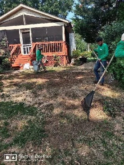 Top-rated outdoor landscaping experts serving Fredericksburg, VA - Jose Luis Tree Service