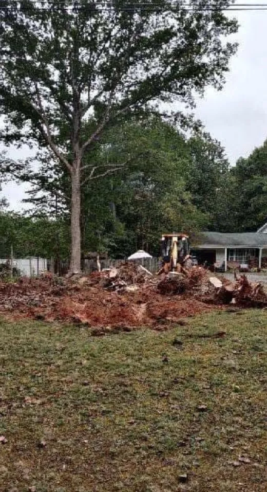 Custom yard maintenance for beautiful yards across Fredericksburg, VA - Jose Luis Tree Service