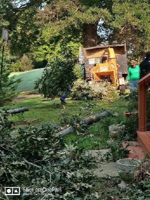 Reliable garden landscaping in Fredericksburg, VA - Jose Luis Tree Service