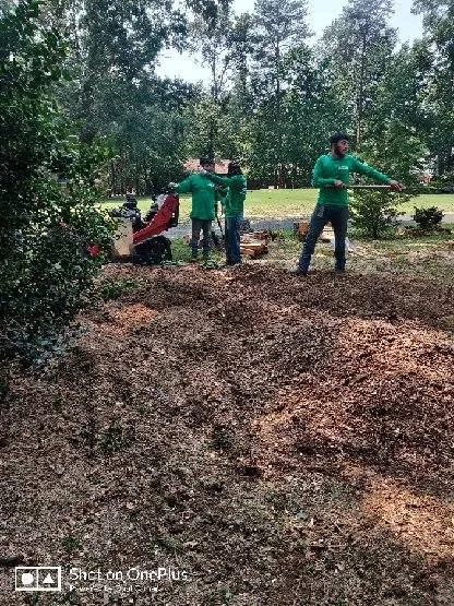 Trusted lawn care service for homes across Fredericksburg, VA - Jose Luis Tree Service