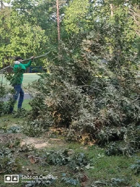 Trusted landscape installation experts serving Fredericksburg, VA - Jose Luis Tree Service