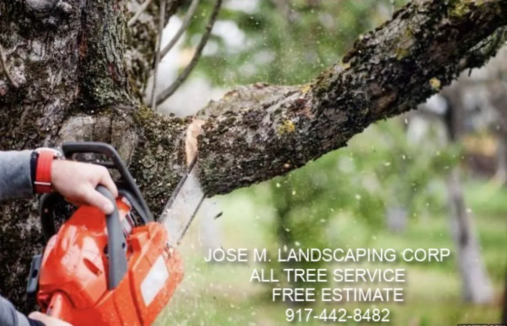 Top-rated yard cleanup service for beautiful yards across East Northport, NY - Jose M. Landscaping